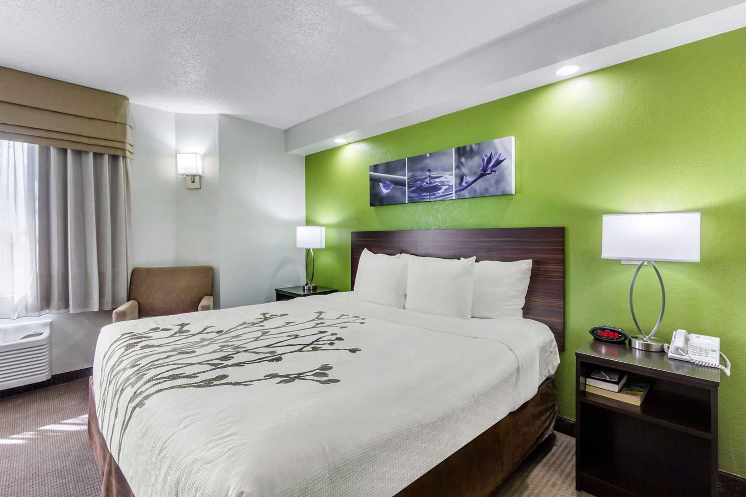 Sleep Inn near Busch Gardens - USF