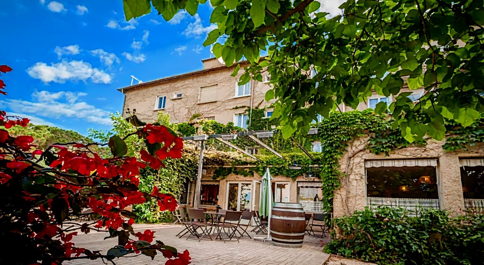 Les Vignes Blanches
