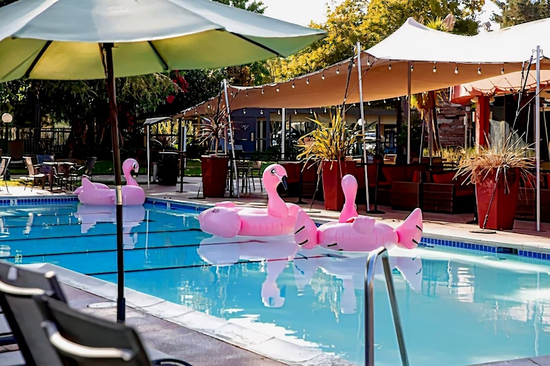 Flamingo Conference Resort & Spa