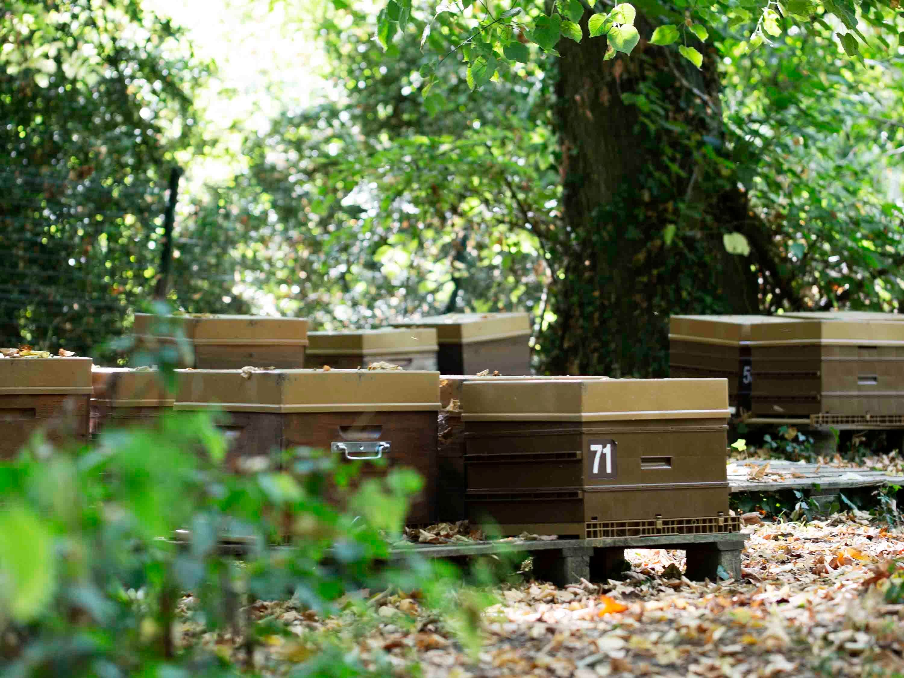 Novotel Domaine De Maffliers - Demeures De Campagne