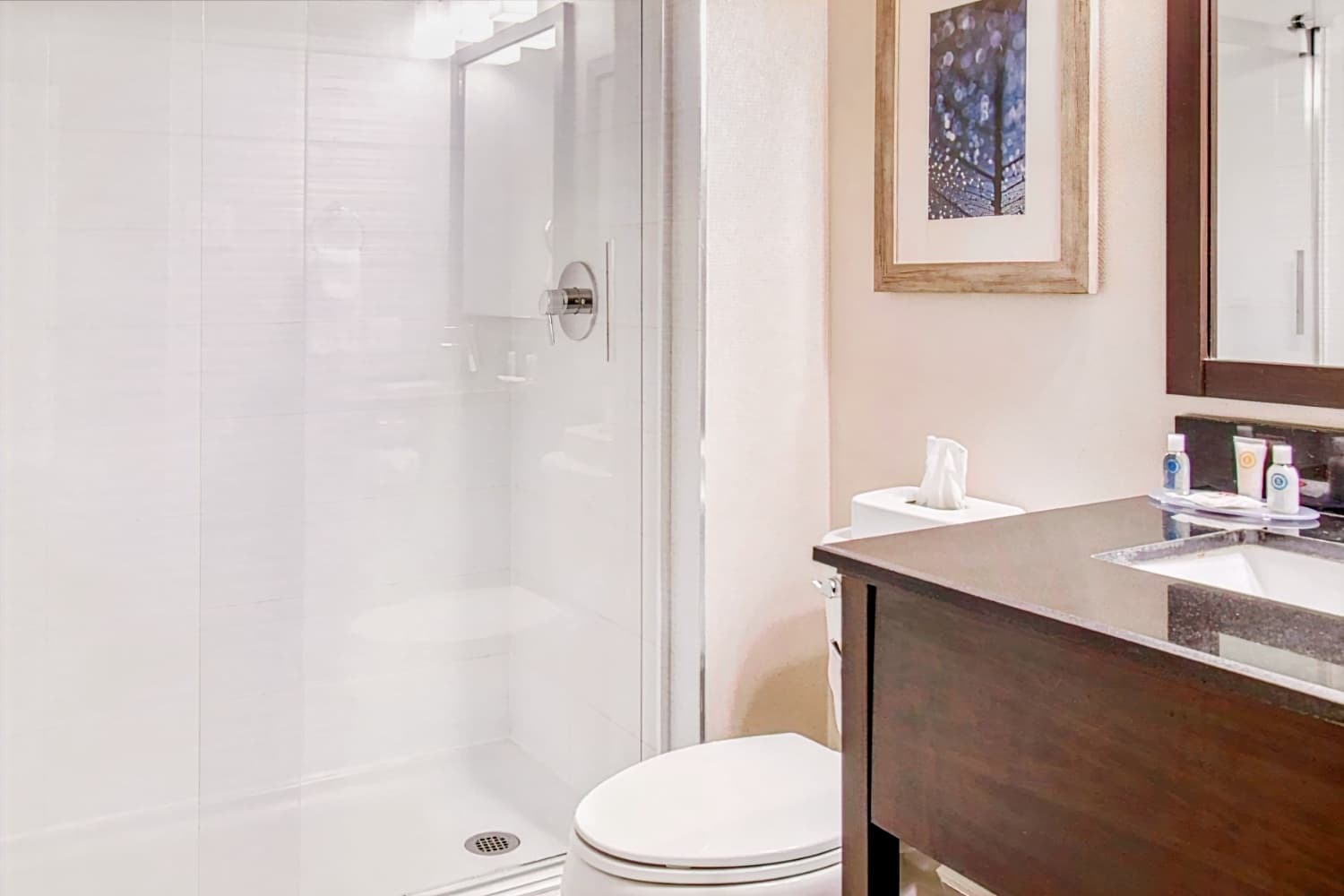 Comfort Inn Pointe-Claire