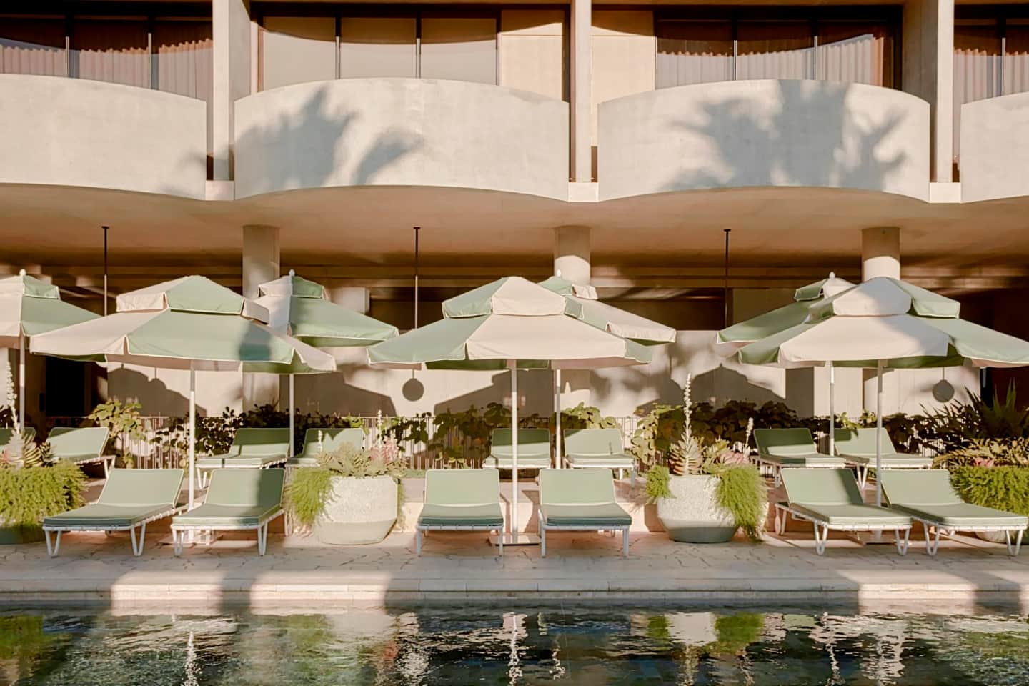 The Calile Hotel