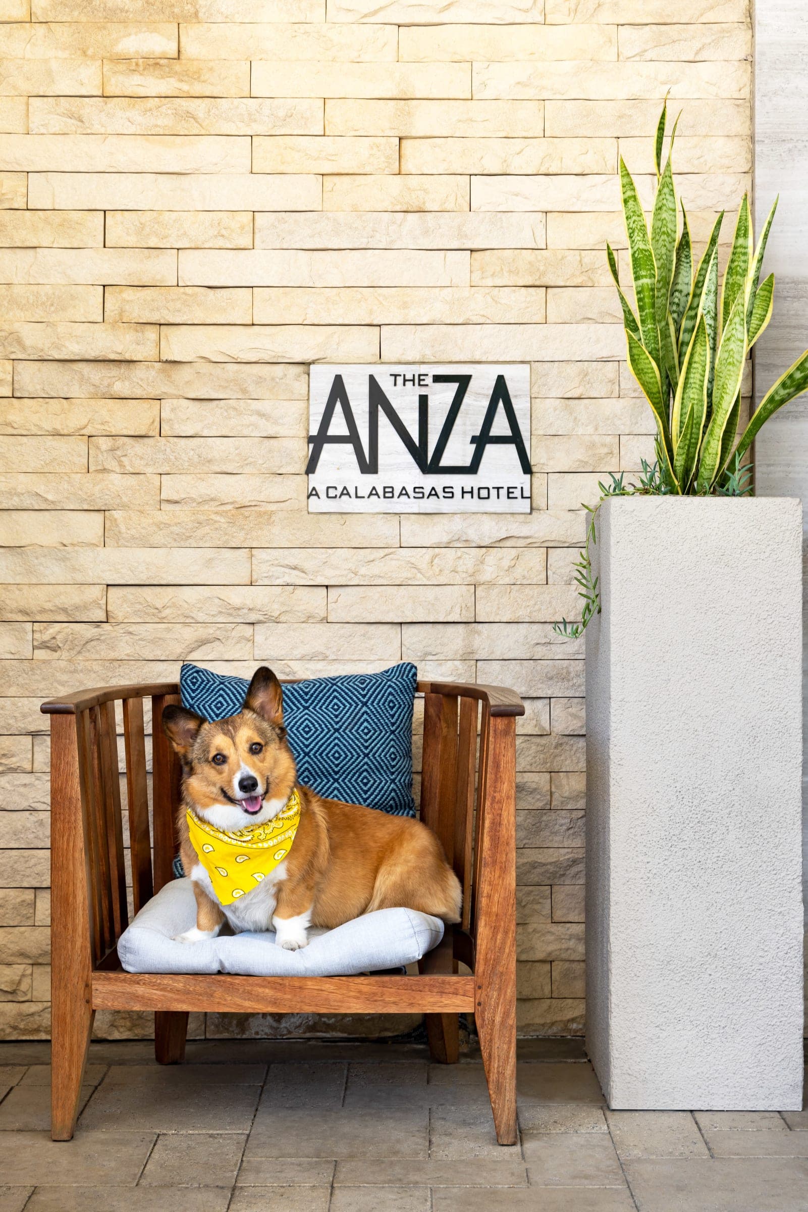 The Anza – a Calabasas Hotel