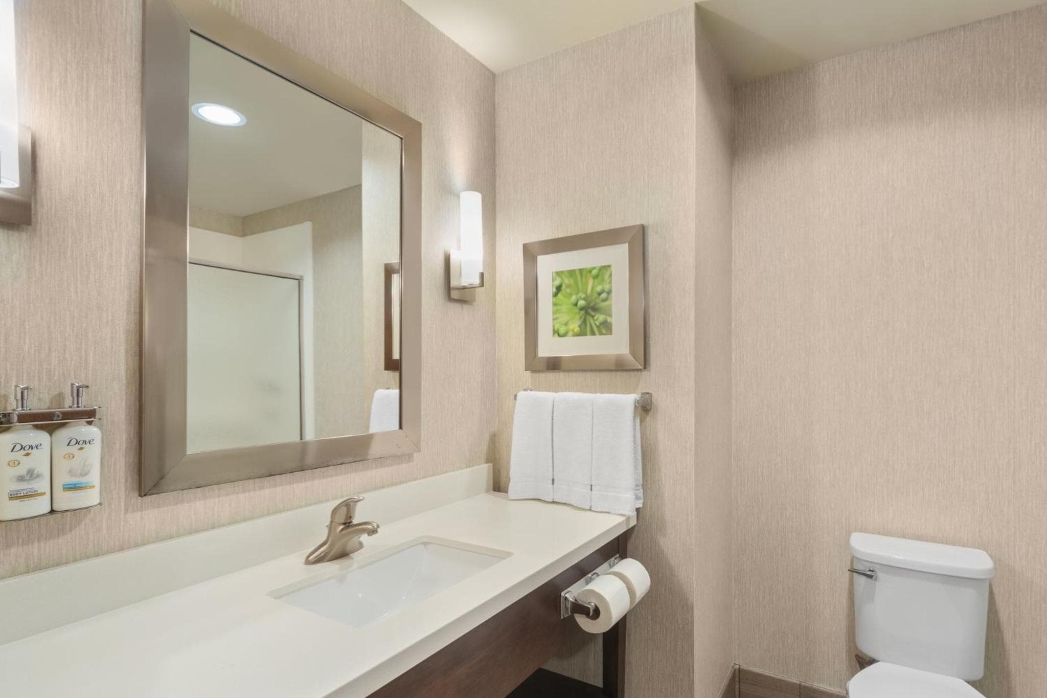 Holiday Inn Express & Suites - Houston NW - Tomball Area