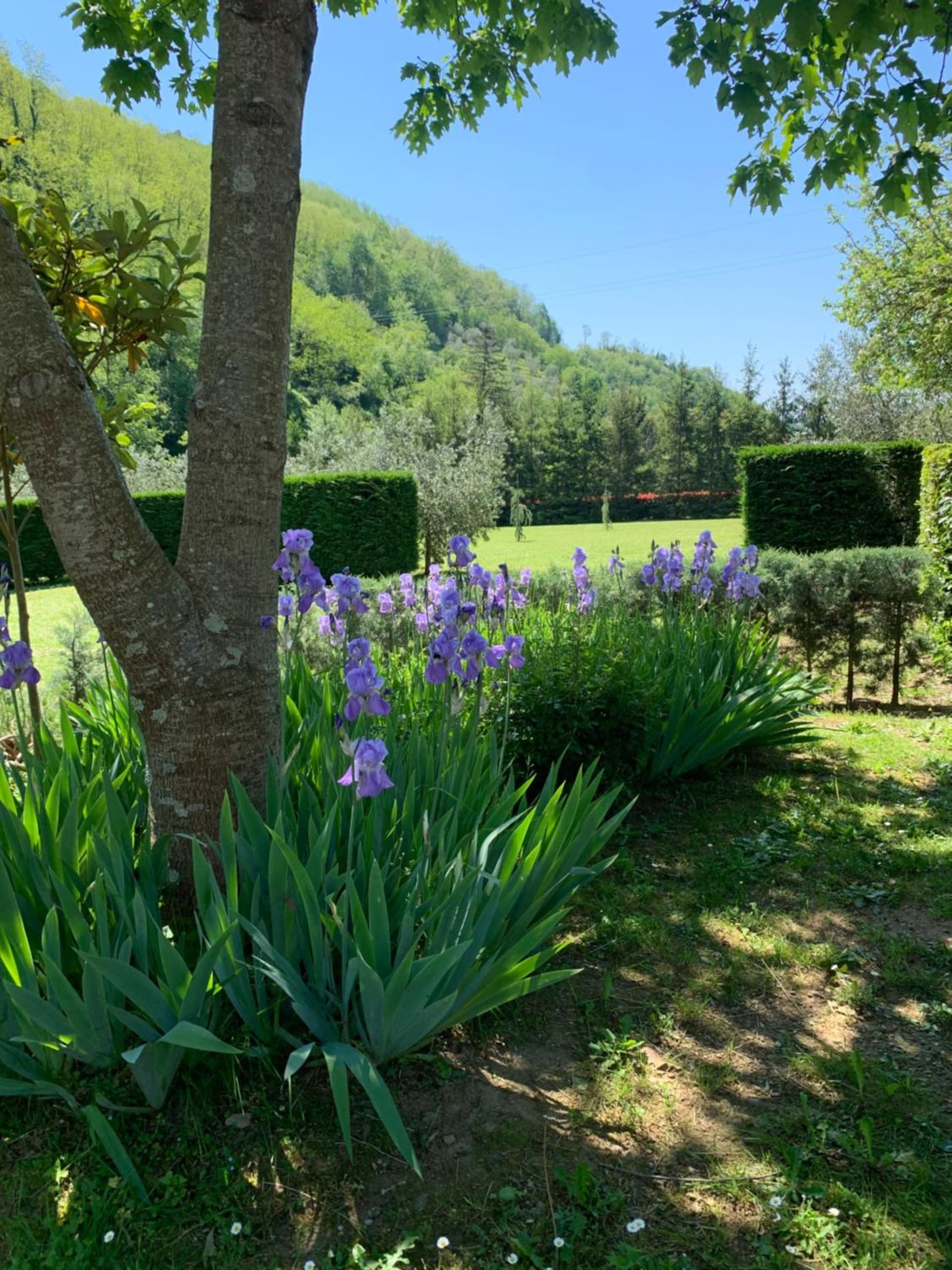 Podere Campofossato