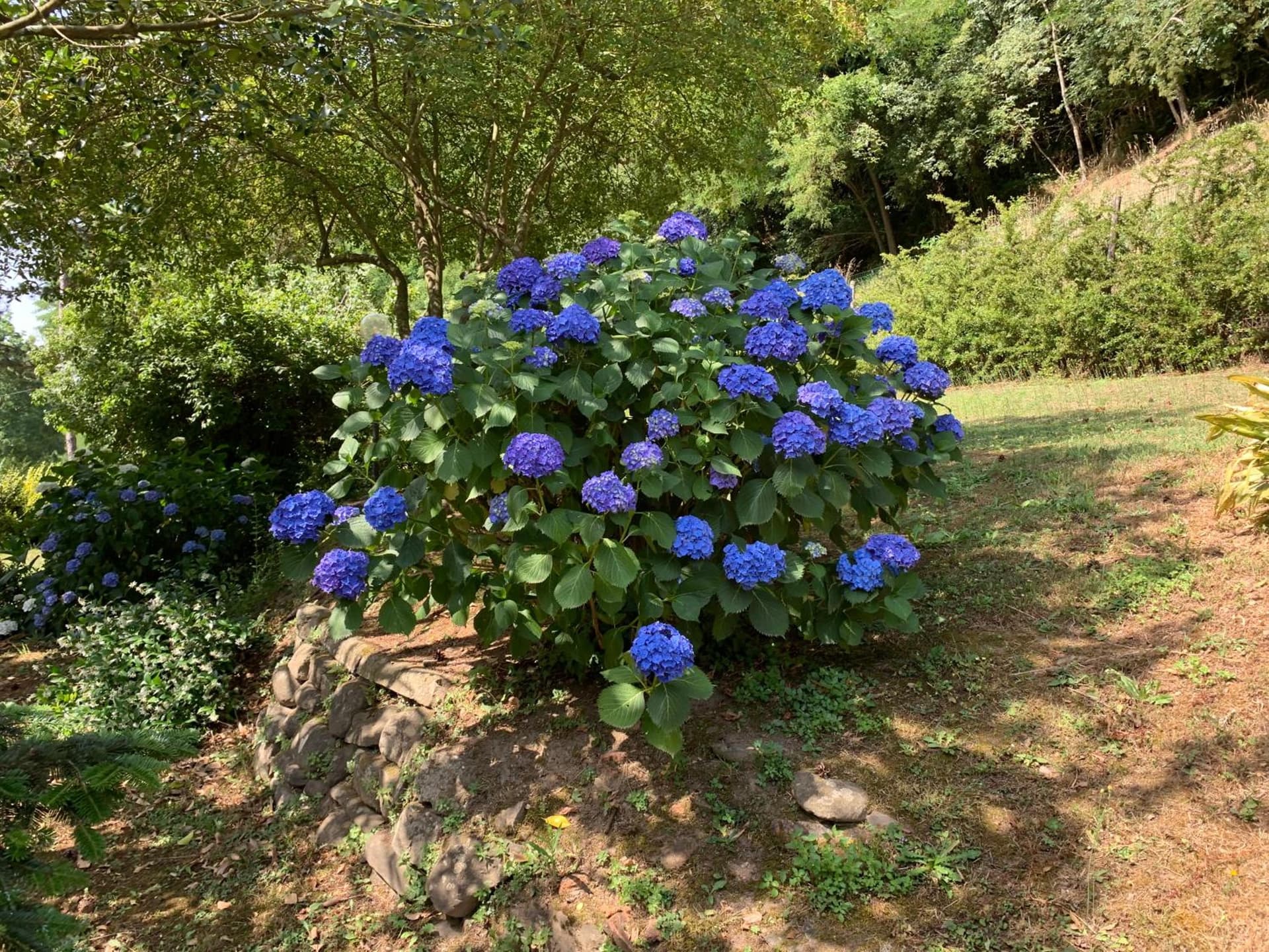 Podere Campofossato
