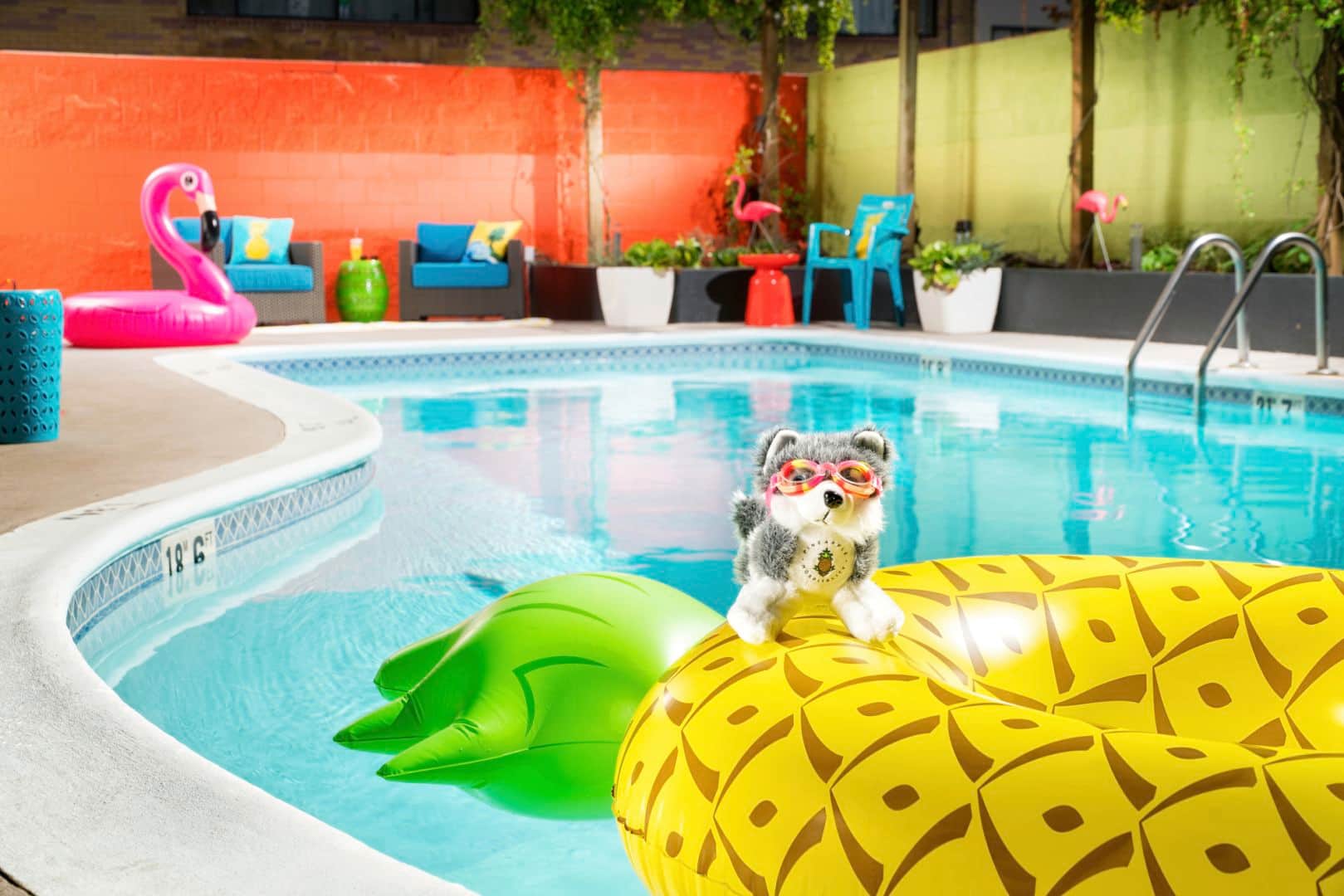 Staypineapple, University Inn, University District Seattle
