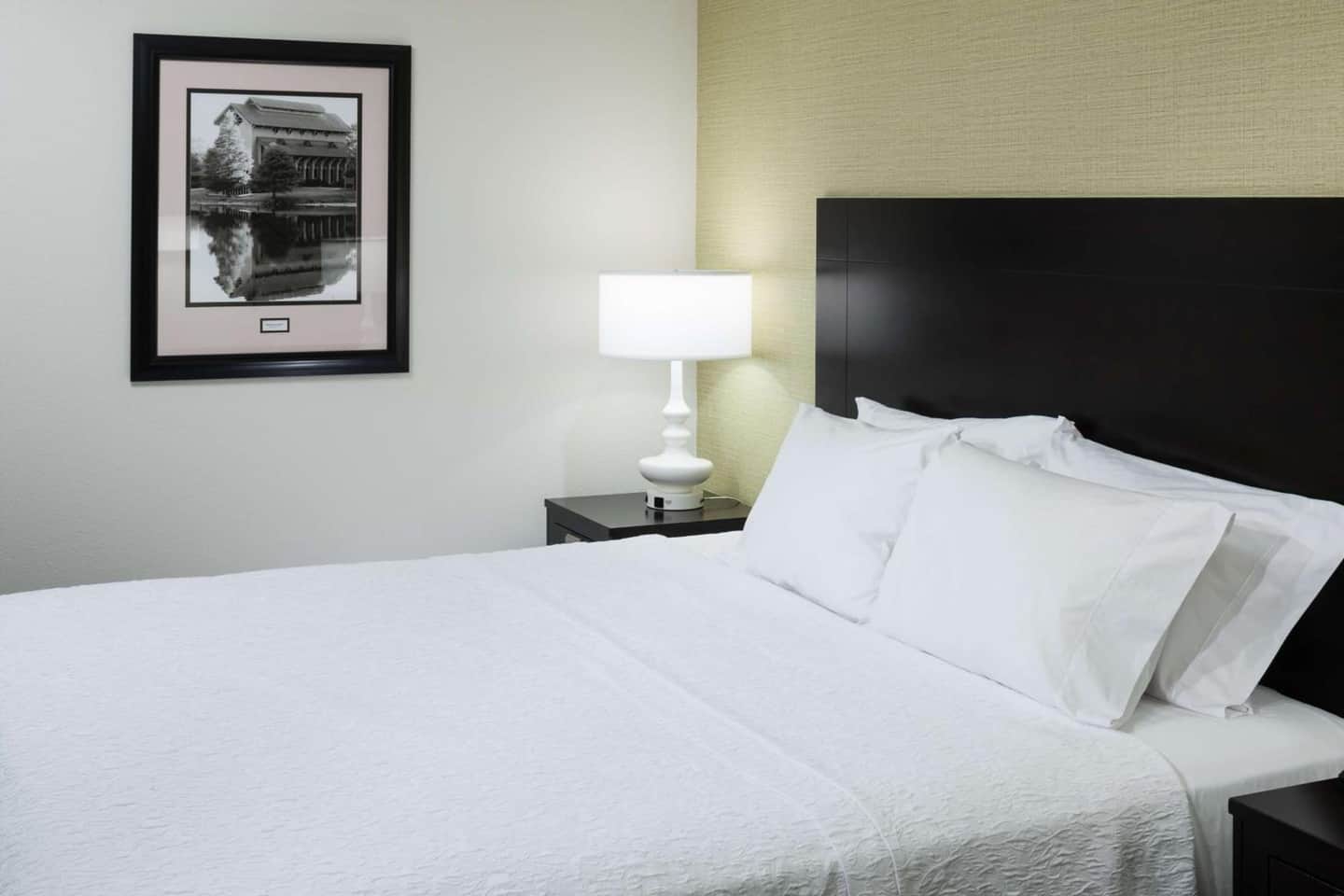 Hampton Inn Suites - Gainesville Downtown