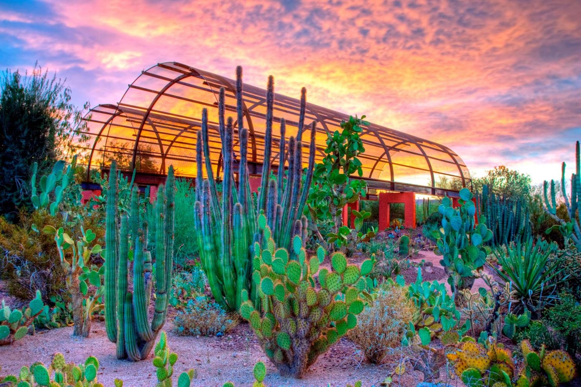 Holiday Inn Express & Suites - Phoenix - Airport North