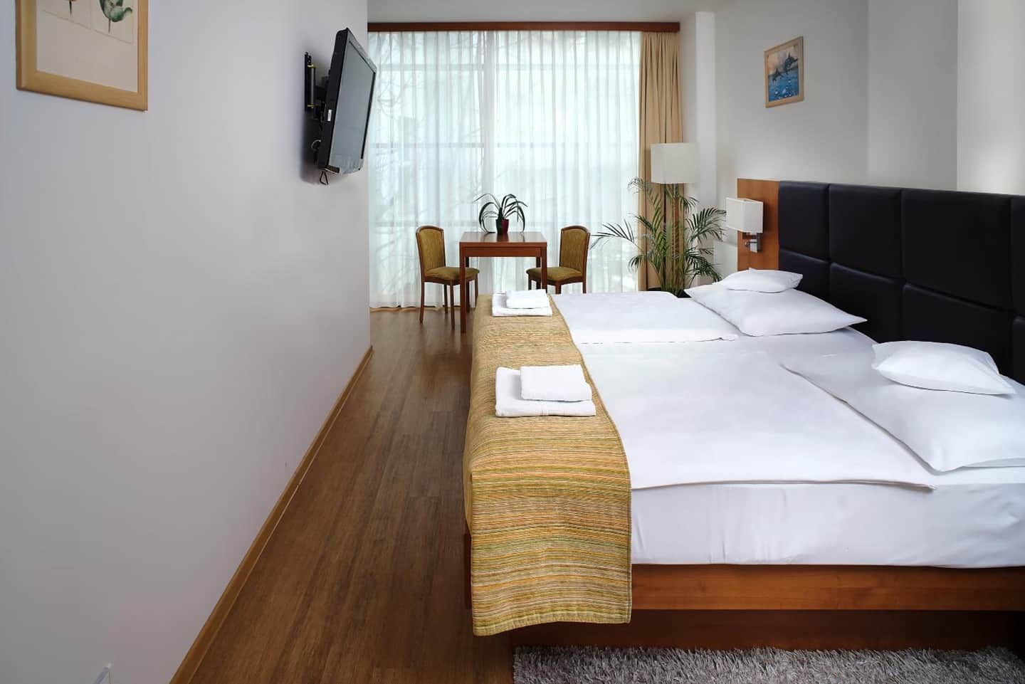 Hotel Ankora