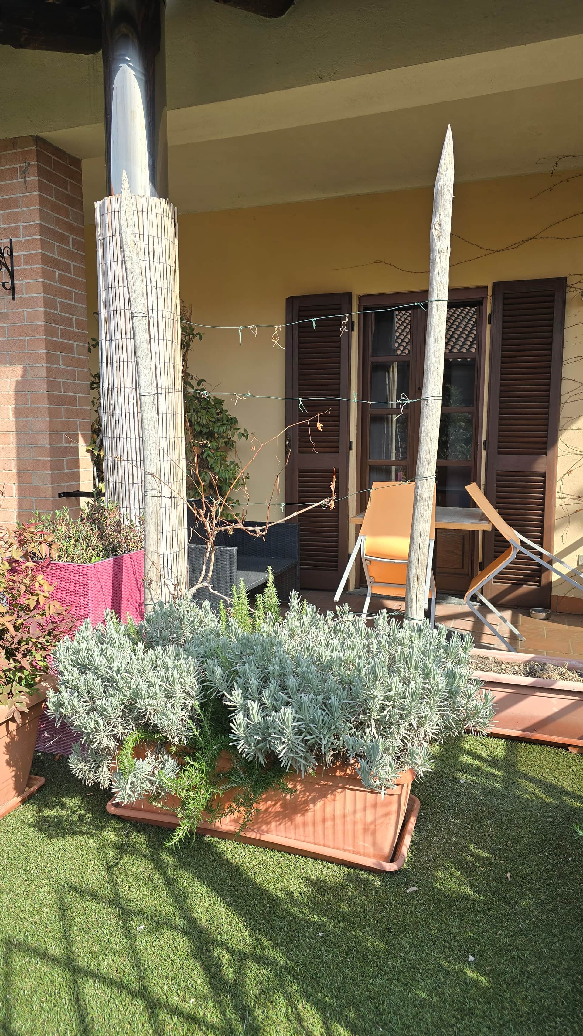 Albergo Motta
