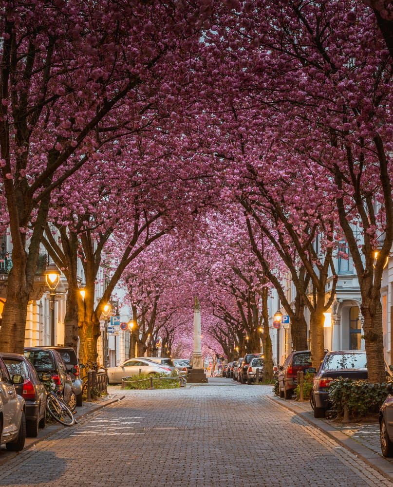 Evasion : les plus belles rues au monde en photos